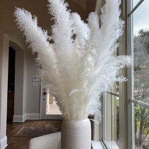 5 pack Large 4ft long pampas natural grass.